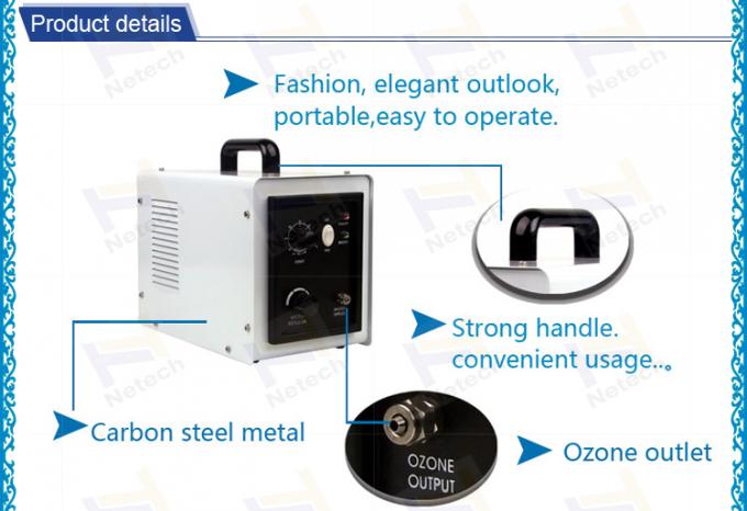 Ionizer Pembersih Udara Mobil Ozon Generator 3g 5g 110v Efisiensi Tinggi