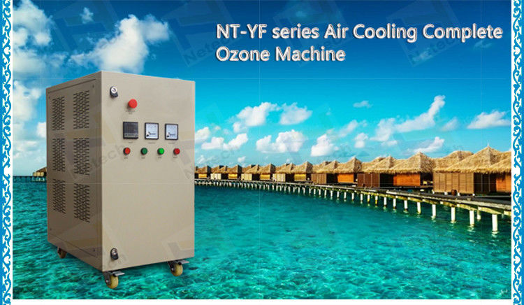 PSA 30g aquaculture ozone generator Swimming pool with oxygen source for shrimp farming