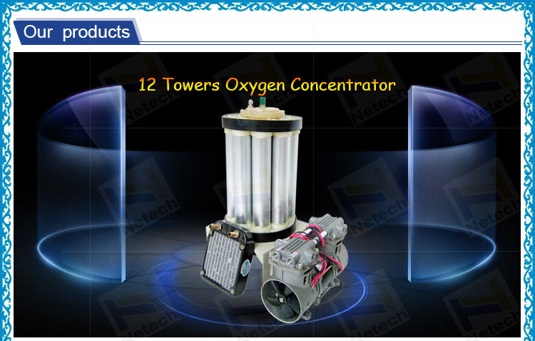 Oxygen concentrator spare parts Twelve Tower O2 Generator Molecular Sieve PSA 10LPM