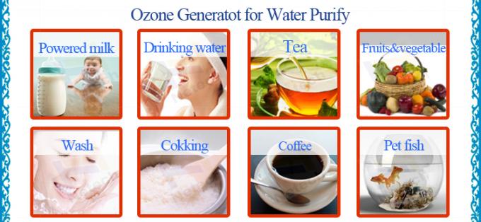 Pembersih ozon atau Generator Ozon Hunian Buah dan Sayur