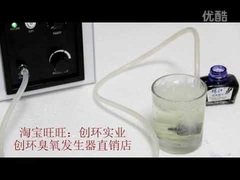 Corona Discharge 3-5g Kitchen Ozone Generator For Water Treatment